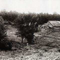 Olson's farm