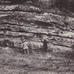 Paleozoic beds