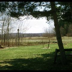 View of pines, restored prairie, and a Leopold bench from the Leopold shack