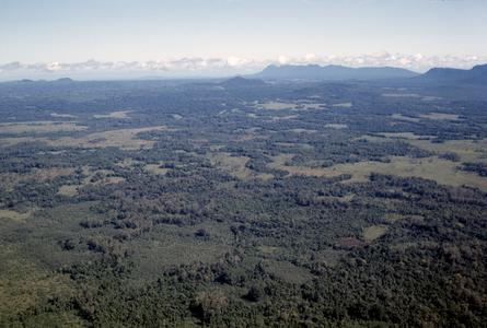 Aerial landscape view