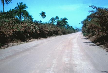 Dirt Road to Tanji in Dry Season