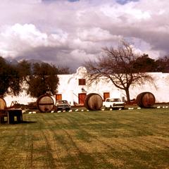 Farm House at Vineyard in Stellenbosch