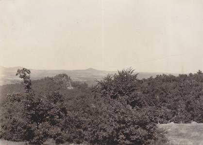 Bellevue Hill from Dorset Ridge