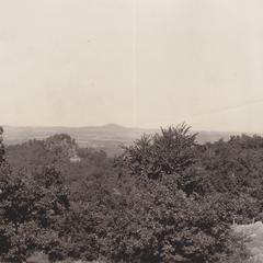 Bellevue Hill from Dorset Ridge
