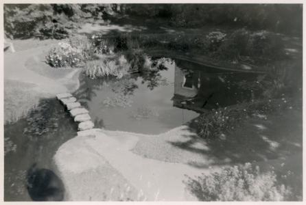 Fish pond at the Wausau Public Library
