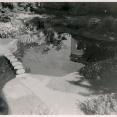 Fish pond at the Wausau Public Library