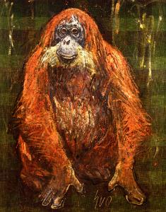 Seated Orangutan Print