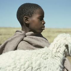 People of South Africa : Sotho boy with sheep