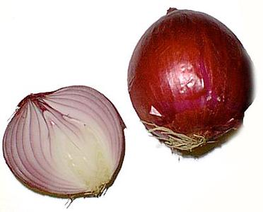 Modified shoots - bulb of onion