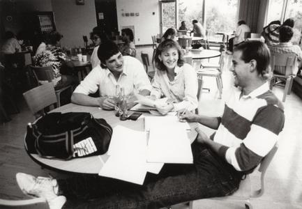 Three students studying in cafeteria