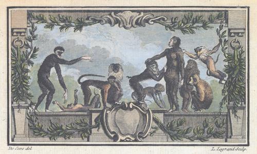Large Primate Group Print