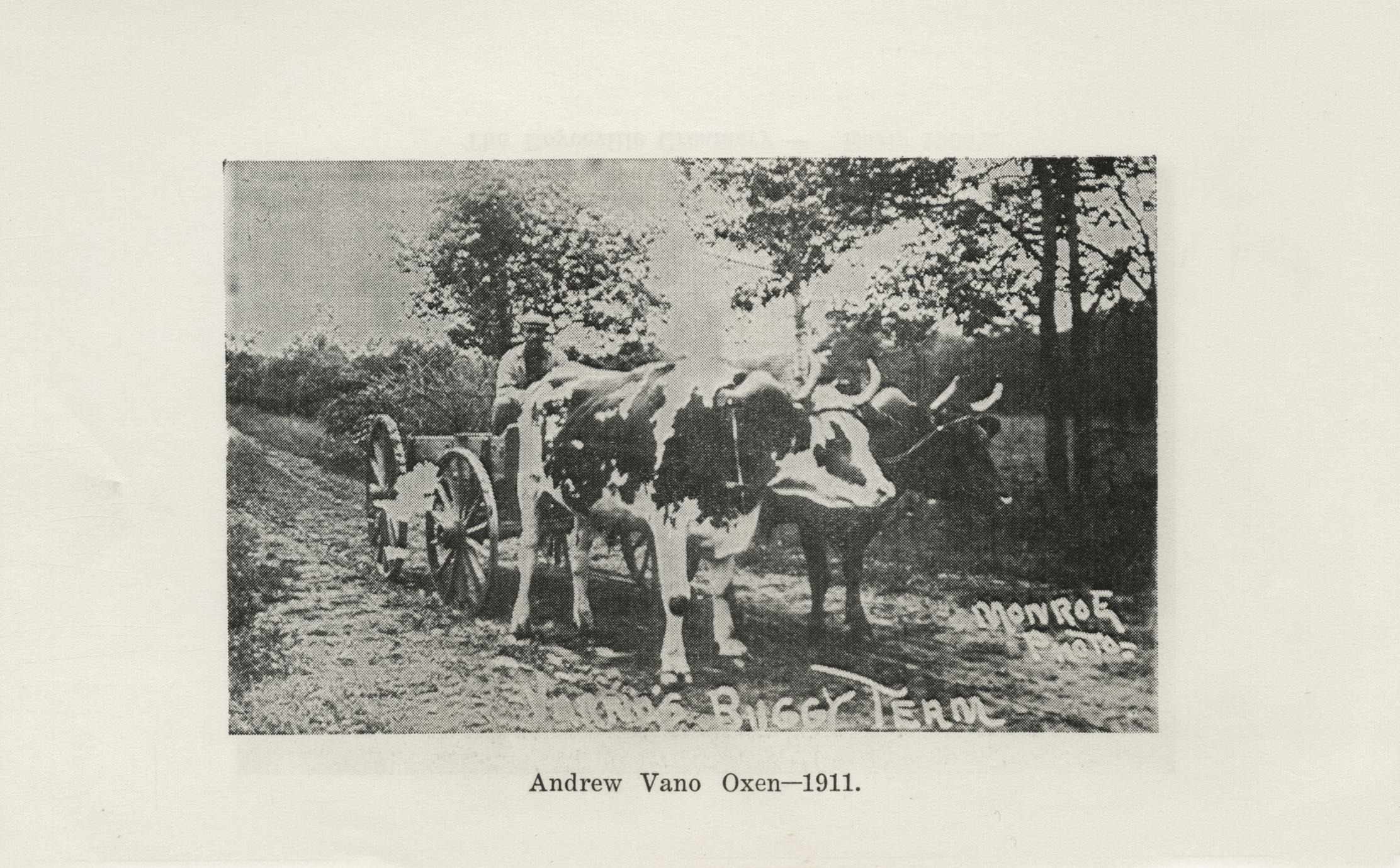 Panorama of progress the history of Boyceville, Wisconsin 18601960