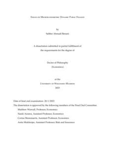 Essays on Microeconometric Dynamic Public Finance