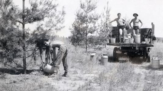 CCC workers watering trees