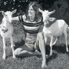 UW goats
