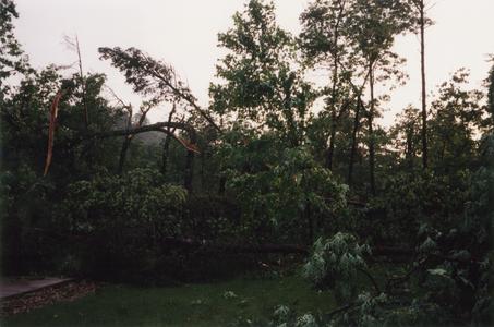 Mauston tornado