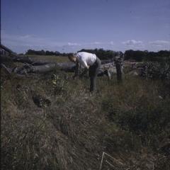 Slides - site tour September 1967