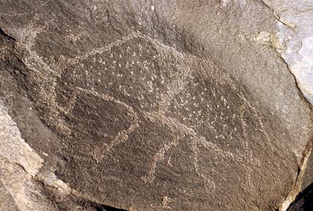 True Petroglyph : Horned Animal