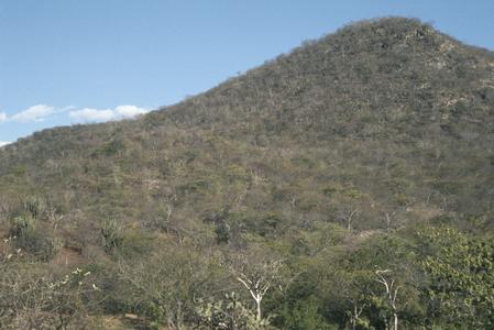 Panoramic view of thorn savanna along Río Motdyera