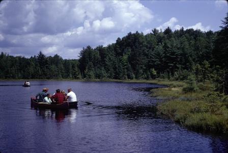 Class in canoes on bog lake