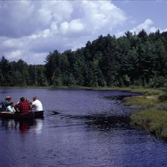 Class in canoes on bog lake