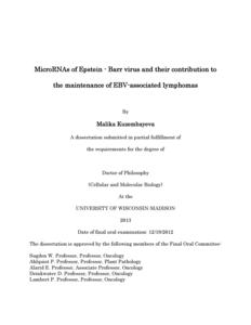 MicroRNAs of Epstein - Barr virus and their contribution to the maintenance of EBV-associated lymphomas