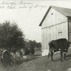 Baehring's Farm