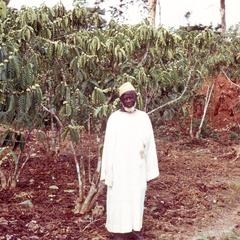 Owner with His Coffee Trees