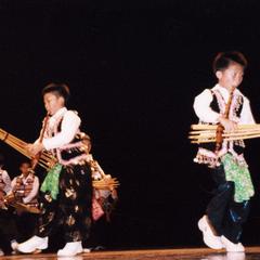 Performers in traditional Hmong costume
