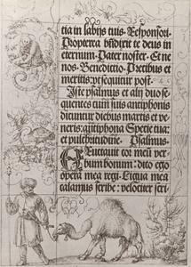 Dromedary, Swan and Monkey