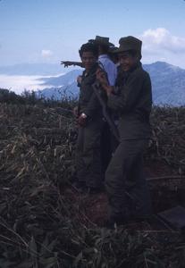 Soldiers in bamboo area