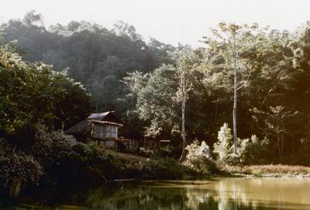 The Yao (Iu Mien) village of Houei Lai in Houa Khong Province