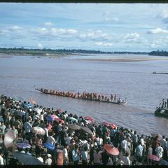 Boat races : rowing pirogues in mid-stream with crowd