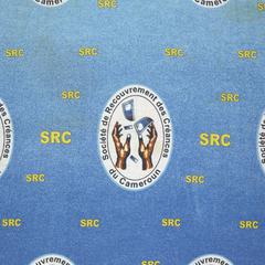 Société de Recouverment de Créances du Cameroun (SRC)