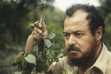 Alfredo Grijalva with Bignoniaceae vine