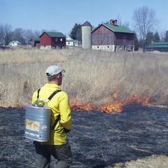 Burning the Waterville Prairie II