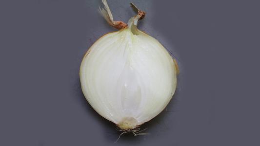 Modified shoots - detail of bulb of onion