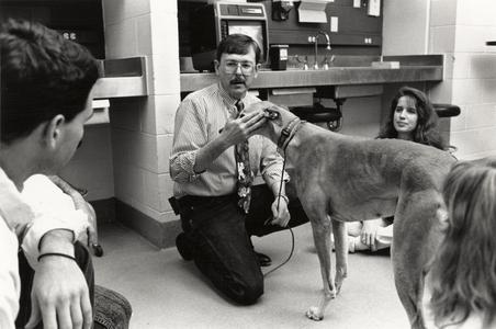 Veterinary students with greyhound dog