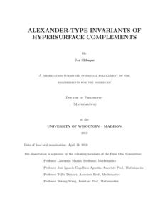 Alexander-type invariants of hypersurface complements