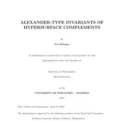 Alexander-type invariants of hypersurface complements
