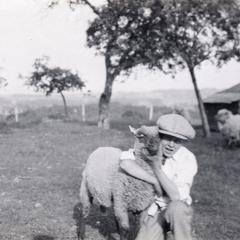 Boy with lamb