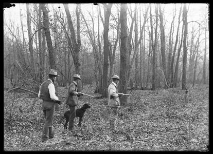 In October woods - 3 hunters