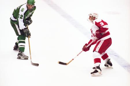 1995 NCAA Hockey Tournament