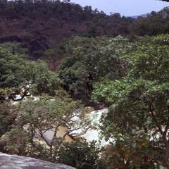Vegetation of Assab Falls