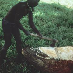 Hollowing Out a Log for a Dugout Canoe