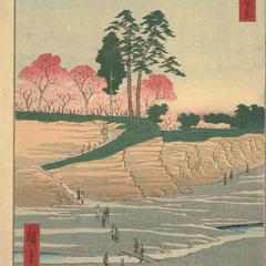 Goten Hill at Shinagawa, no. 28 from the series One-hundred Views of Famous Places in Edo