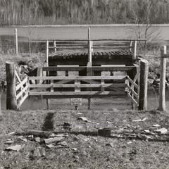 Cattle watering place