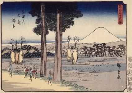 Path Through Rice Fields at Oiso on the Tokaido, no. 20 from the series Thirty-six Views of Mt. Fuji
