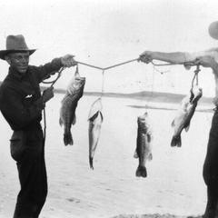 Displaying large-mouth bass, Roosevelt Lake, Arizona (other man not identified), August 1923