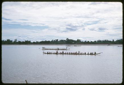 Boat races : rowing pirogues in mid-stream